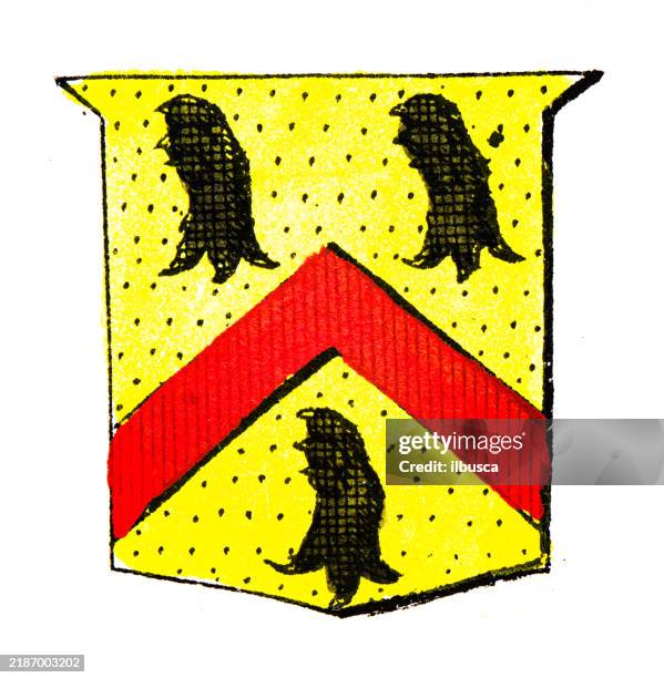 Simple Heraldry Heraldry Coat Of Arms Elements And Families High-Res Vector Graphic ...