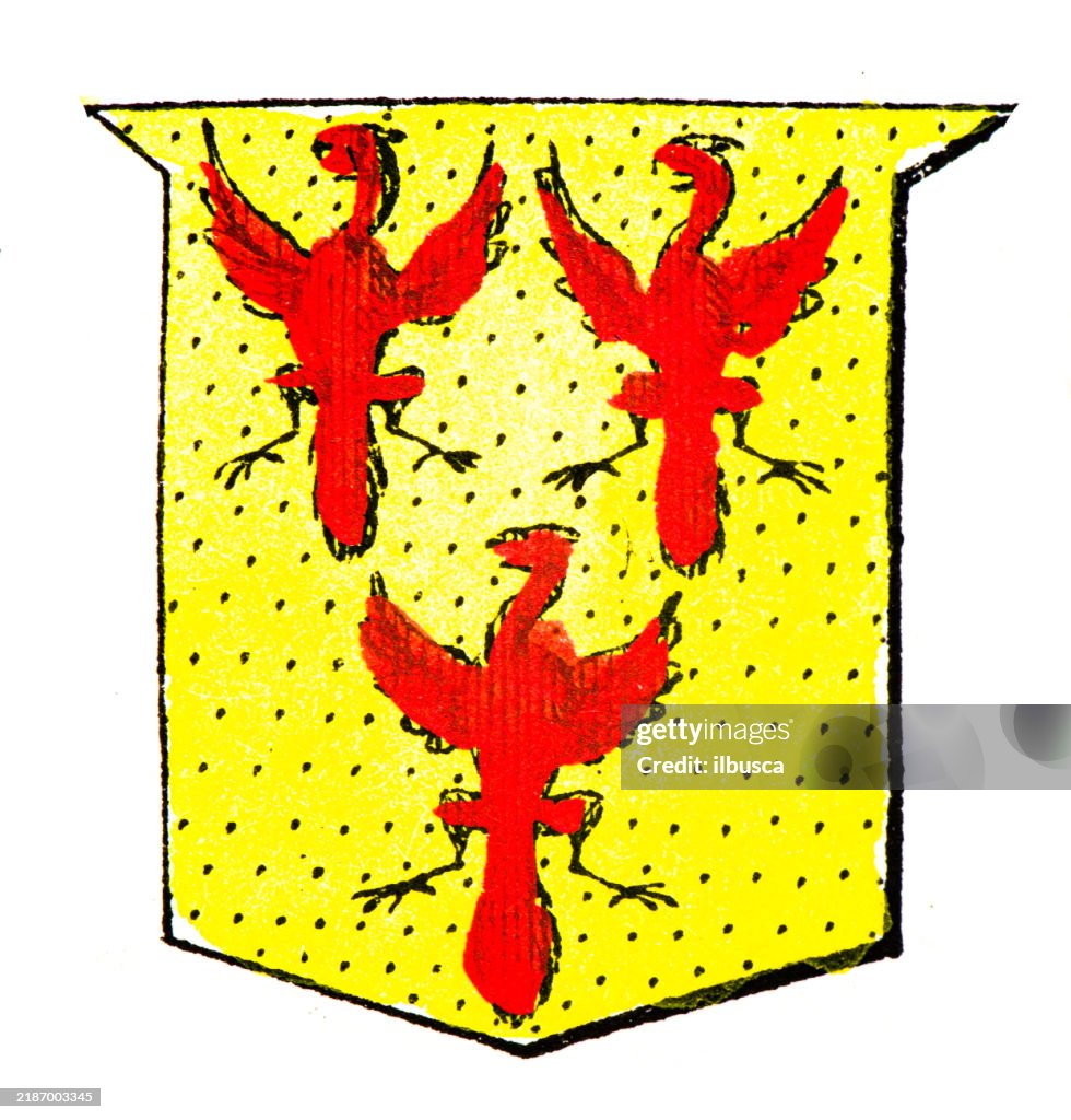 Simple Heraldry Heraldry Coat Of Arms Elements And Families High-Res Vector Graphic ...