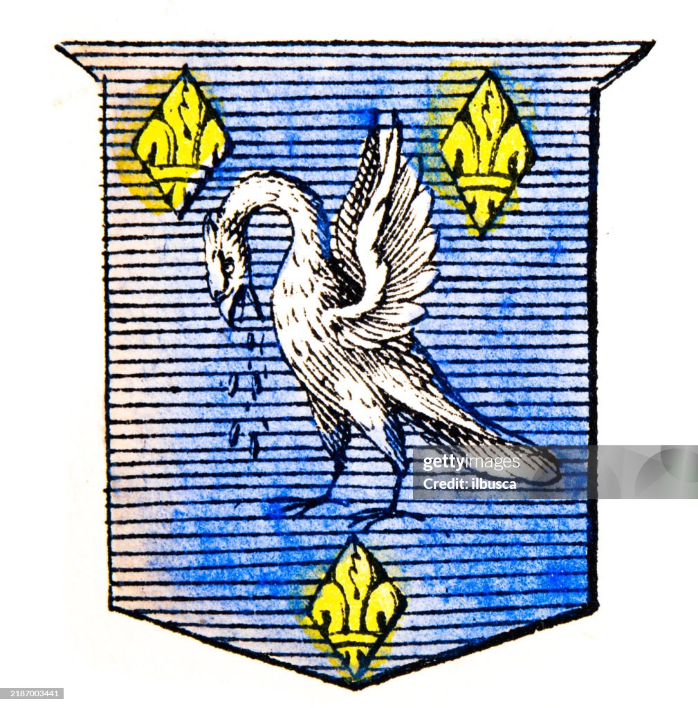 Simple Heraldry Heraldry Coat Of Arms Elements And Families High-Res Vector Graphic ...