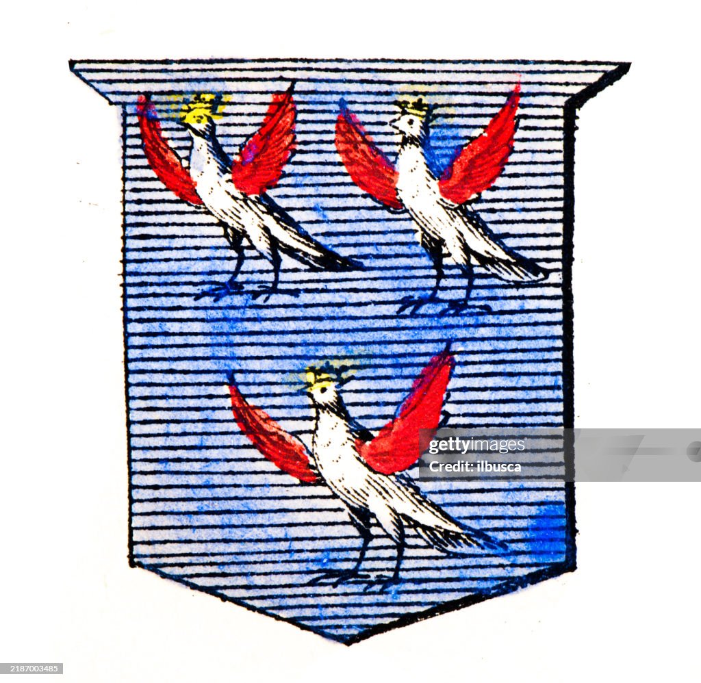 Simple Heraldry Heraldry Coat Of Arms Elements And Families High-Res Vector Graphic ...
