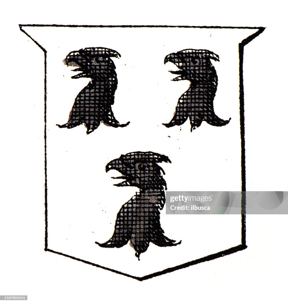Simple Heraldry Heraldry Coat Of Arms Elements And Families High-Res Vector Graphic ...