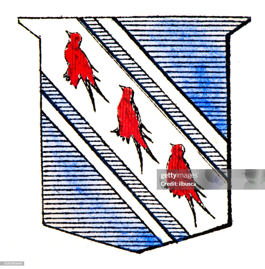 Simple Heraldry Heraldry Coat Of Arms Elements And Families High-Res Vector Graphic ...