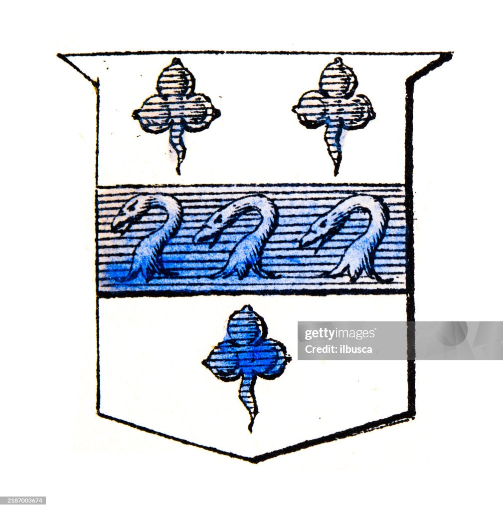 Simple Heraldry Heraldry Coat Of Arms Elements And Families High-Res Vector Graphic ...