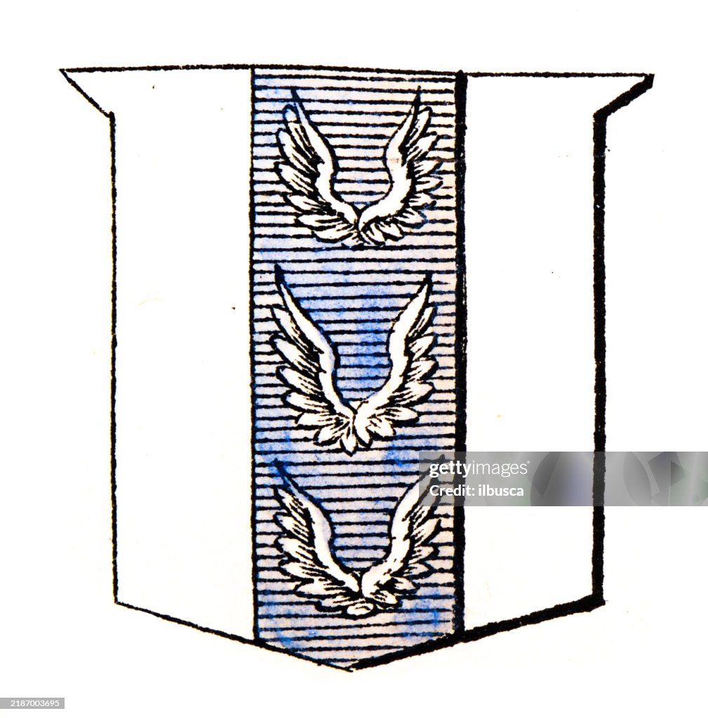 Simple Heraldry Heraldry Coat Of Arms Elements And Families High-Res Vector Graphic ...