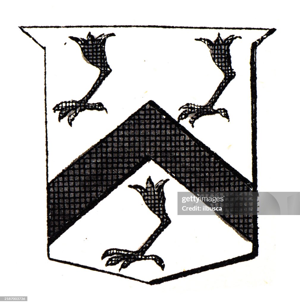 Simple Heraldry Heraldry Coat Of Arms Elements And Families High-Res Vector Graphic ...