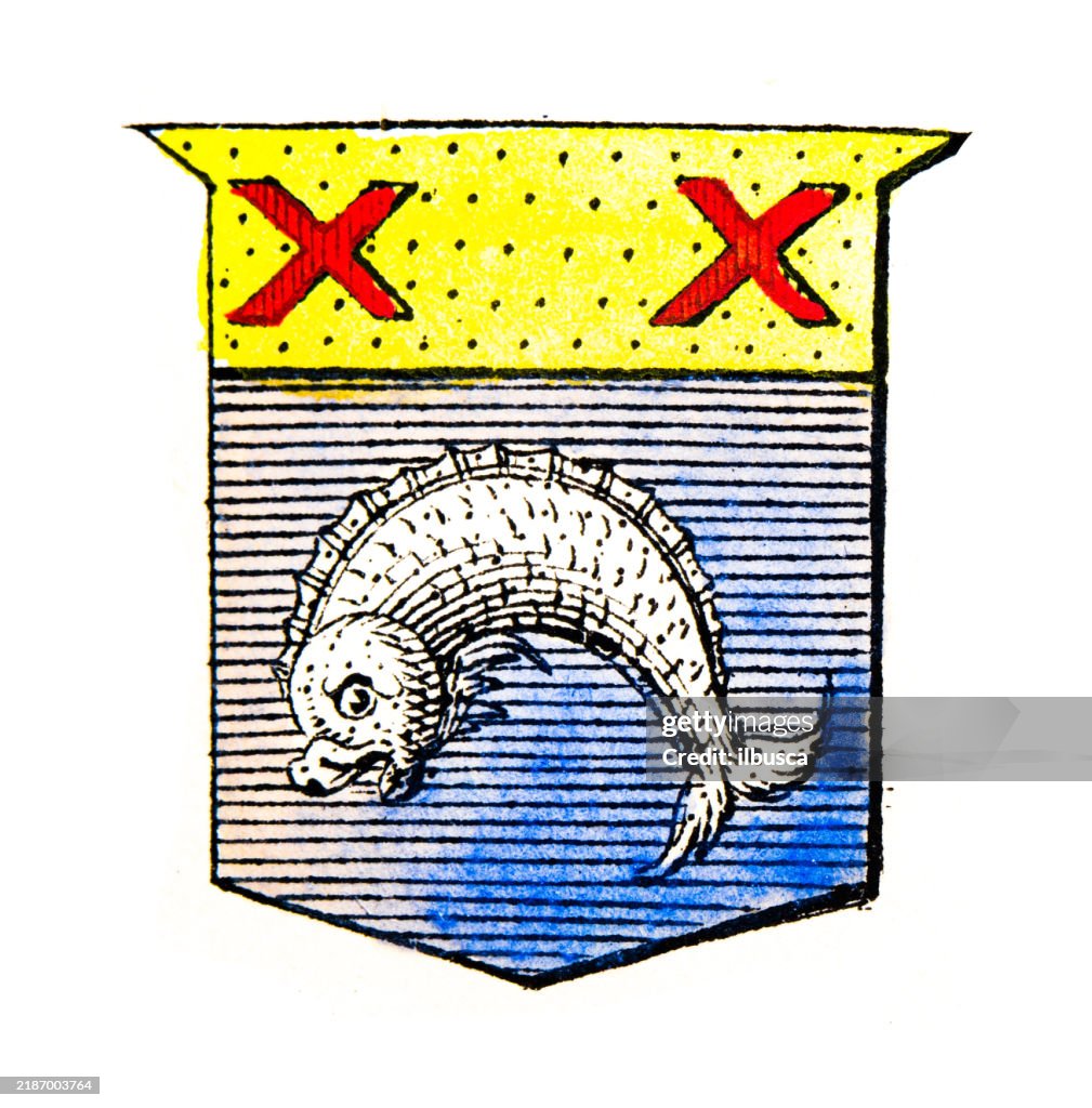 Simple Heraldry Heraldry Coat Of Arms Elements And Families High-Res Vector Graphic ...