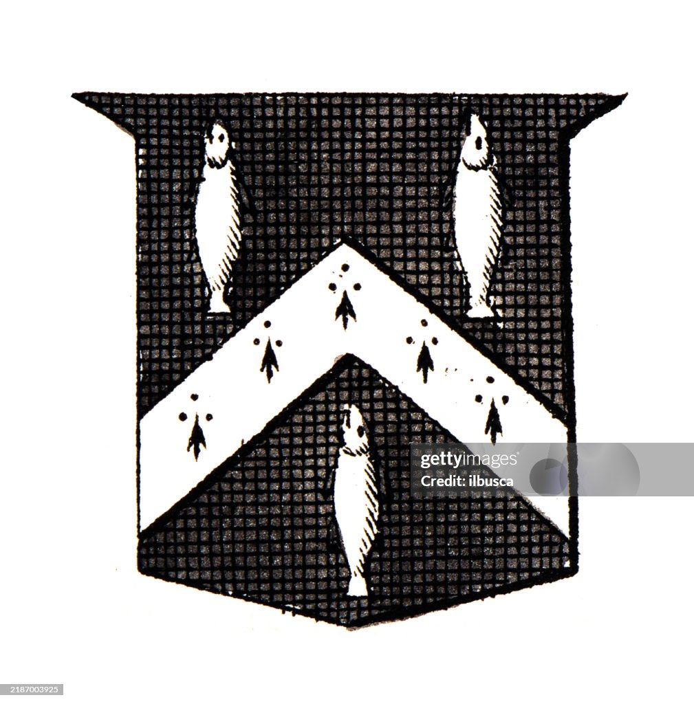 Simple Heraldry Heraldry Coat Of Arms Elements And Families High-Res Vector Graphic ...