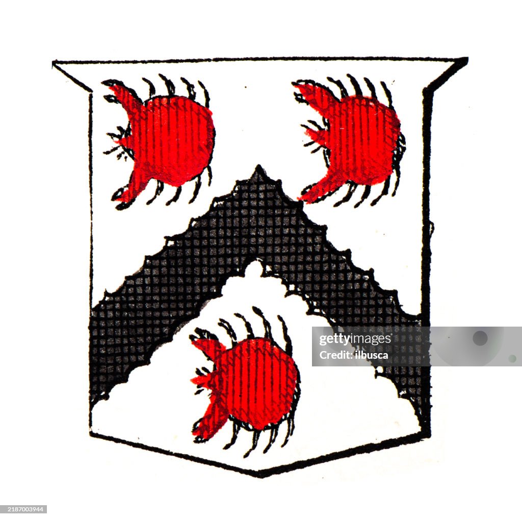 Simple Heraldry Heraldry Coat Of Arms Elements And Families High-Res Vector Graphic ...
