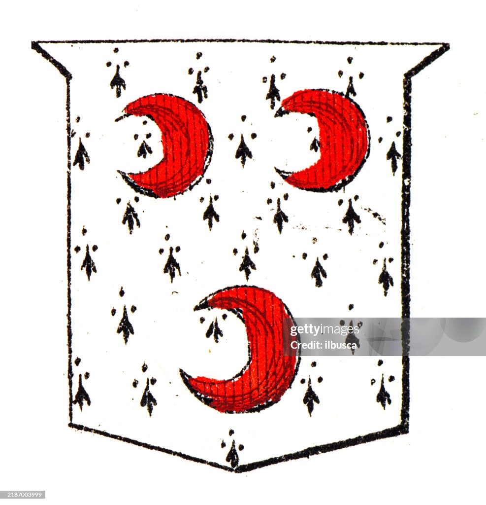 Simple Heraldry Heraldry Coat Of Arms Elements And Families High-Res Vector Graphic ...
