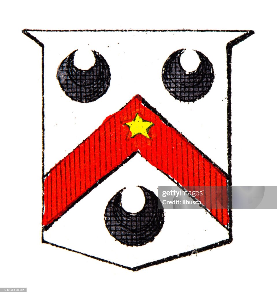 Simple Heraldry Heraldry Coat Of Arms Elements And Families High-Res Vector Graphic ...