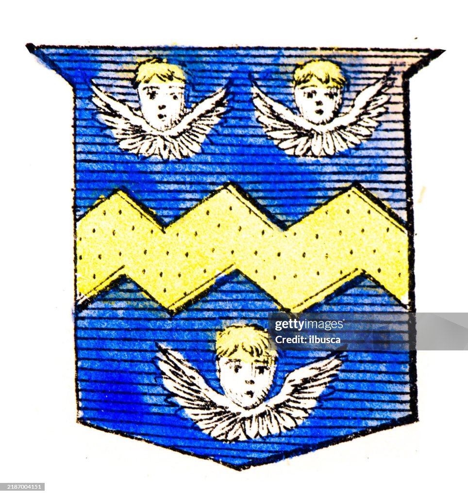 Simple Heraldry Heraldry Coat Of Arms Elements And Families High-Res Vector Graphic ...