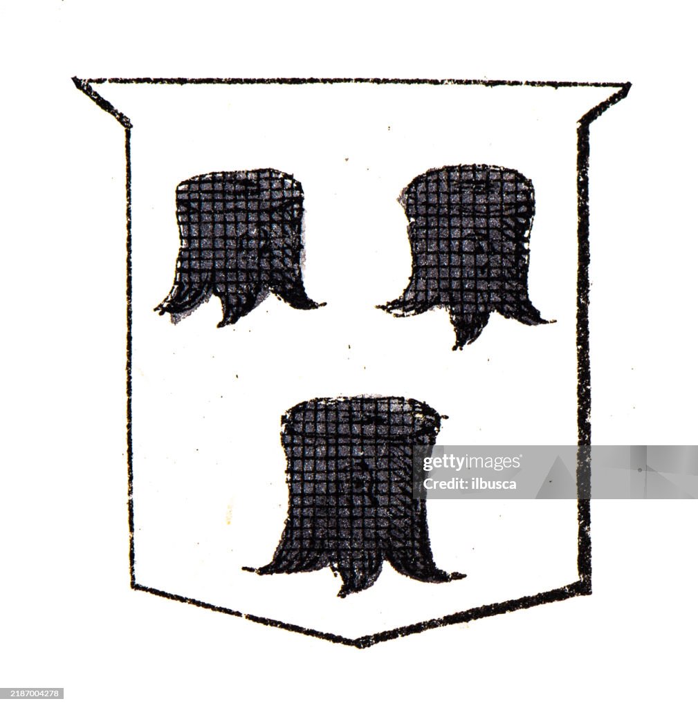 Simple Heraldry Heraldry Coat Of Arms Elements And Families High-Res Vector Graphic ...
