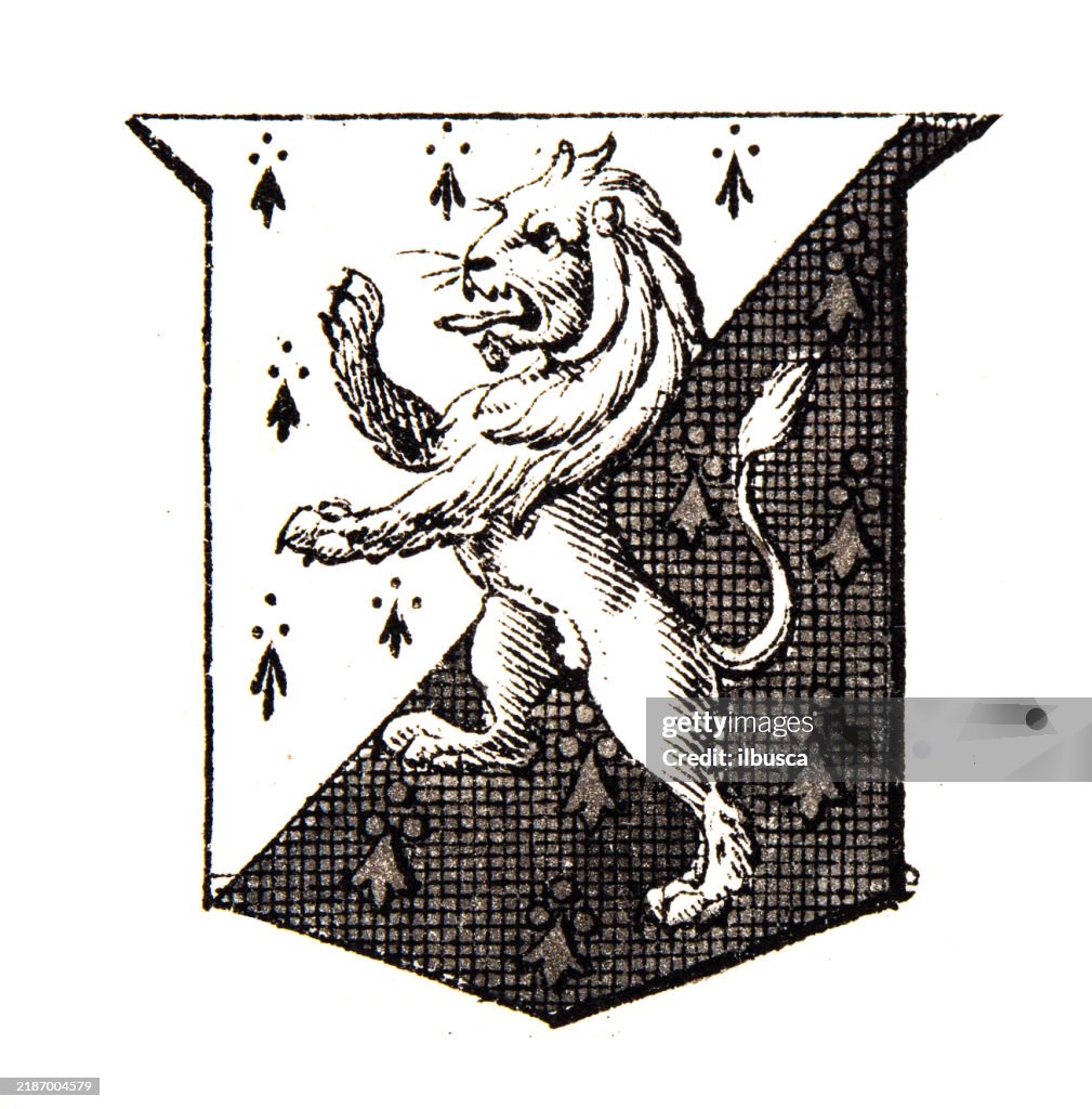 Simple Heraldry Heraldry Coat Of Arms Elements And Families High-Res Vector Graphic ...