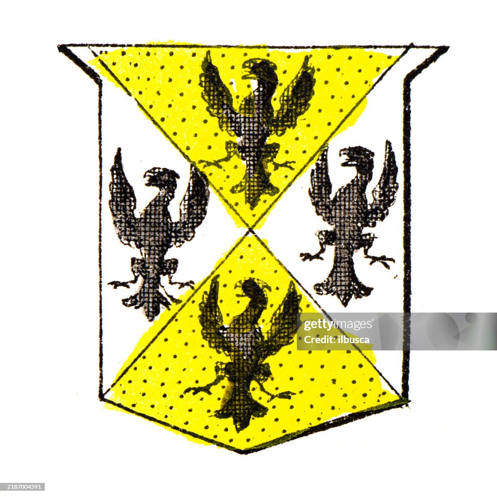 Simple Heraldry Heraldry Coat Of Arms Elements And Families High-Res Vector Graphic ...