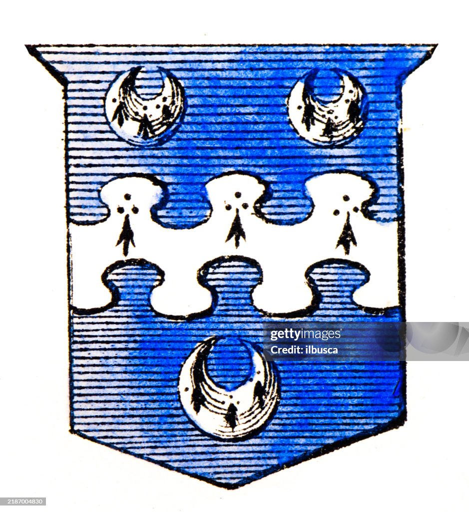 Simple Heraldry Heraldry Coat Of Arms Elements And Families High-Res Vector Graphic ...