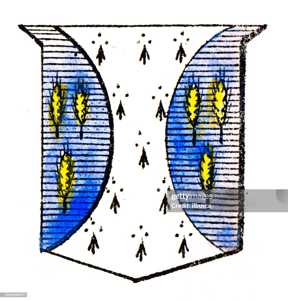 Simple Heraldry Heraldry Coat Of Arms Elements And Families High-Res Vector Graphic ...