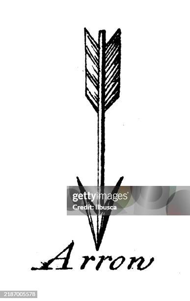heraldik, wappenelemente und familien: pfeil - traditionelle rüstung stock-grafiken, -clipart, -cartoons und -symbole