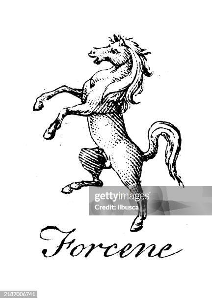 heraldry, coat of arms elements and families: forcene - rearing up stock illustrations