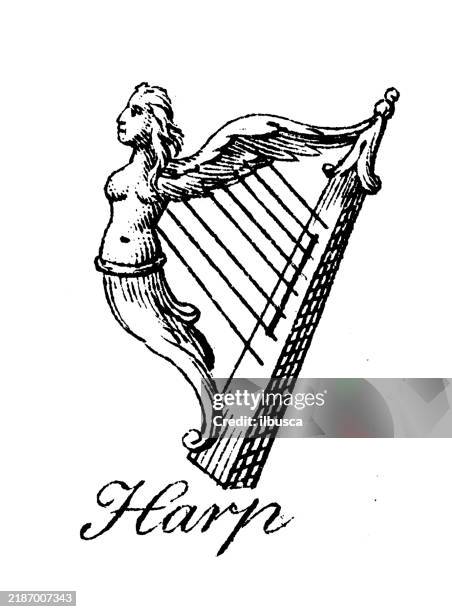 ilustrações de stock, clip art, desenhos animados e ícones de heraldry, coat of arms elements and families: harp - harpa