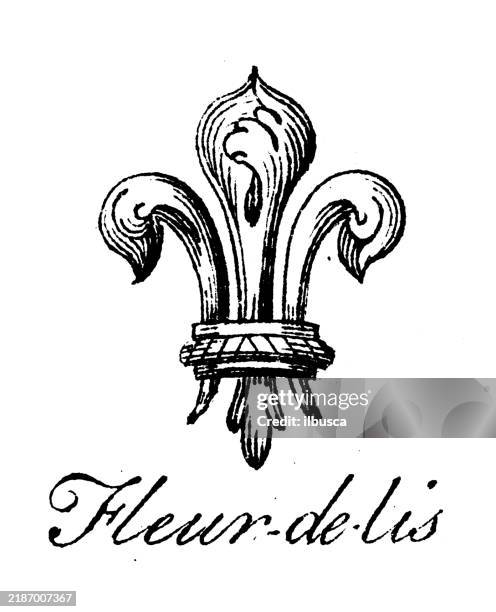 heraldry, coat of arms elements and families: fleur de lys - french language stock illustrations