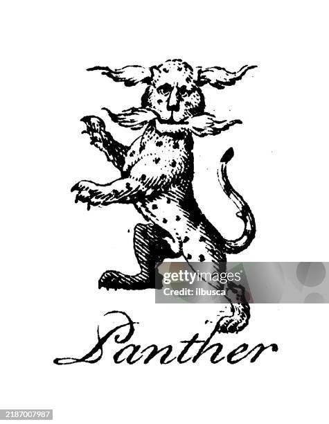 heraldry, coat of arms elements and families: panther - french language stock illustrations