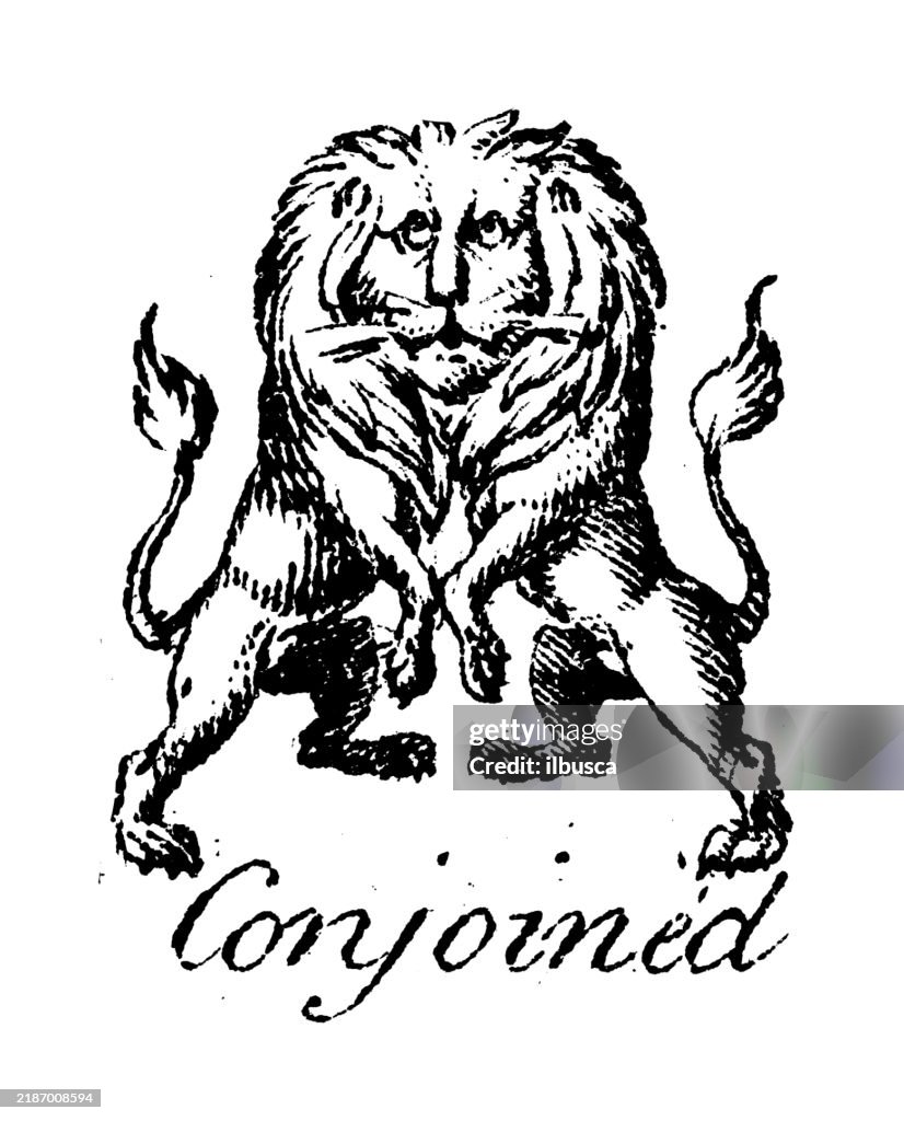 Heraldry, coat of arms elements and families: Conjoined