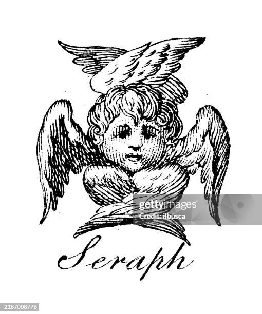 heraldry, coat of arms elements and families: seraph - french language stock illustrations
