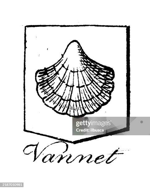 heraldry, coat of arms elements and families: vannet - animal shell stock illustrations