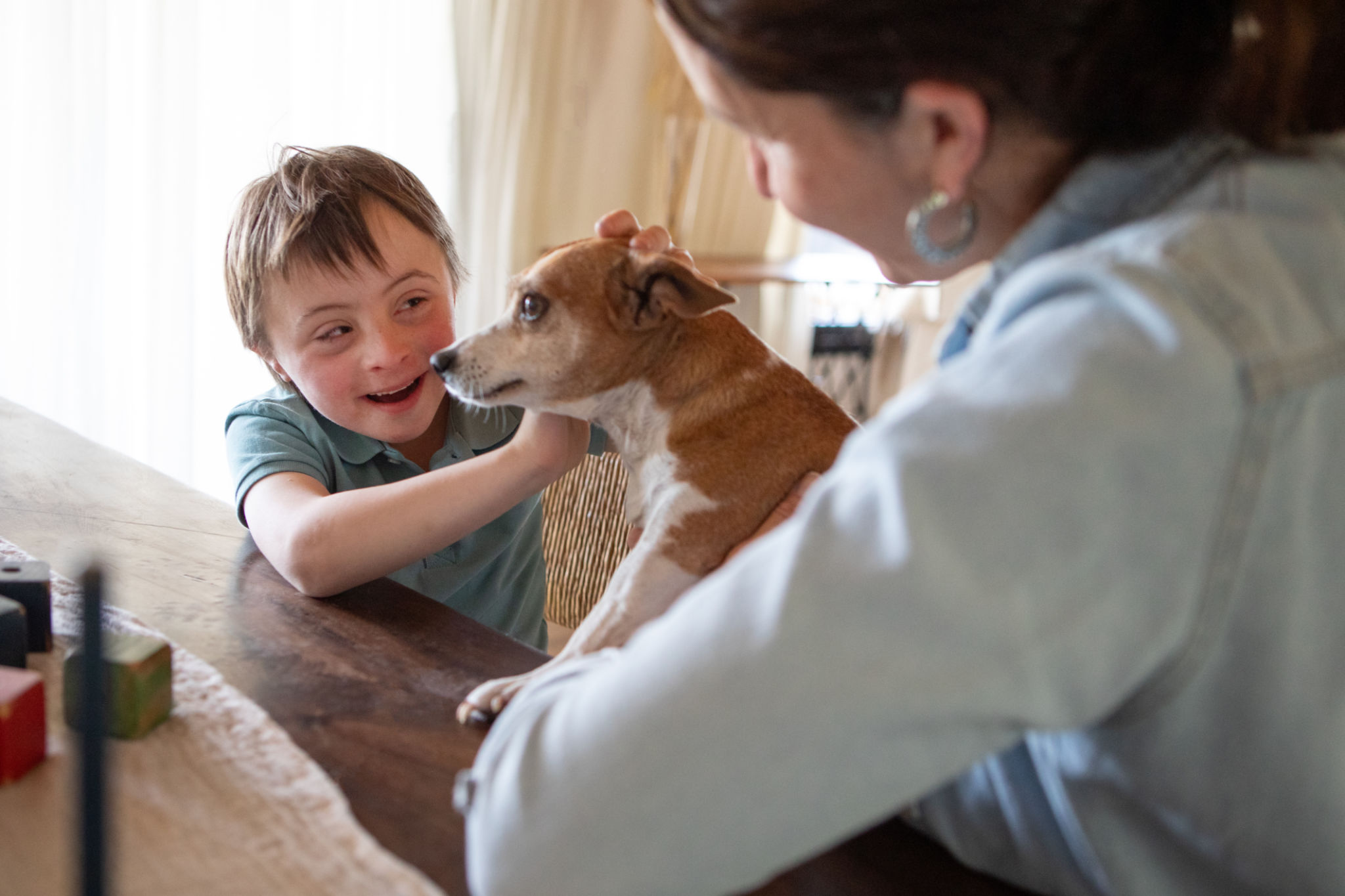 family puppy