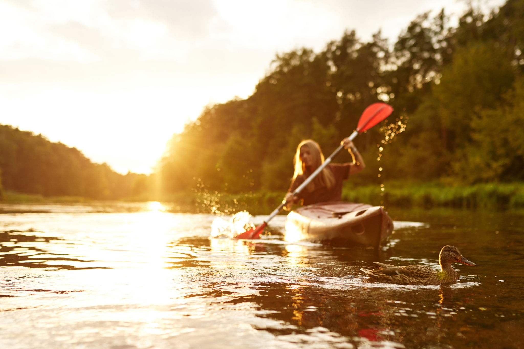 kayaking coastline