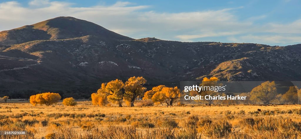 Eastern San Diego County Fall rural landscape with Cottonwood trees