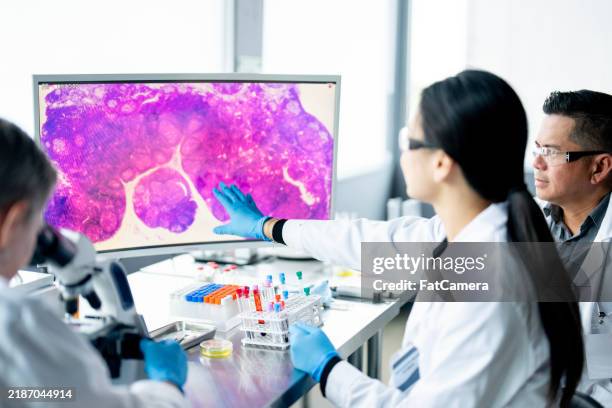 working together - forschungsutensilien stock-fotos und bilder