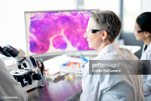working together - microscope slide stock pictures, royalty-free photos & images