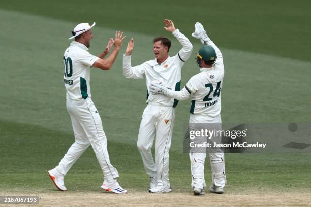 Matt Kuhnemann of the Tigers celebrates with Beau Webster and Jake Doran of the Tigers after taking the wicket of Matthew Gilkes of the Blues during...