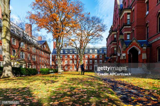 autumn in harvard yard - harvard university - cambridge massachusetts - cambridge massachusetts stock pictures, royalty-free photos & images
