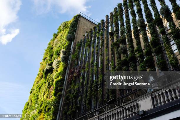 green living wall covering building in urban environment - biodiversity stock pictures, royalty-free photos & images