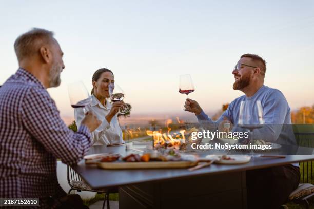 cena all'aperto con gli amici - pranzare allaperto foto e immagini stock