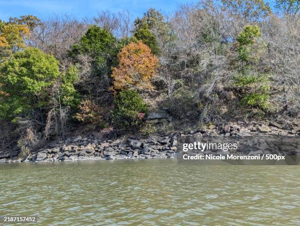 Eufaula Roop 30 Eufaula Lake Stock Photos, High-Res Pictures, and Images - Getty Images