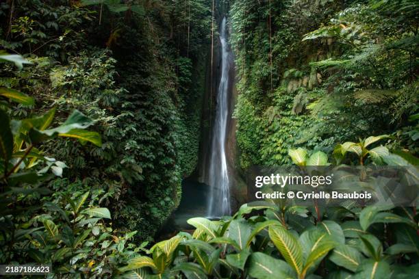 leke leke waterfall: hidden gem in bali - waterfall in bali stock pictures, royalty-free photos & images
