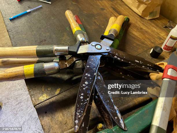 cleaning hedge clippers - snoeischaar stockfoto's en -beelden
