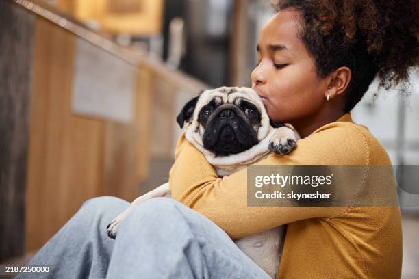 loving black girl kissing her pug at home. - pure bred dog stock pictures, royalty-free photos & images