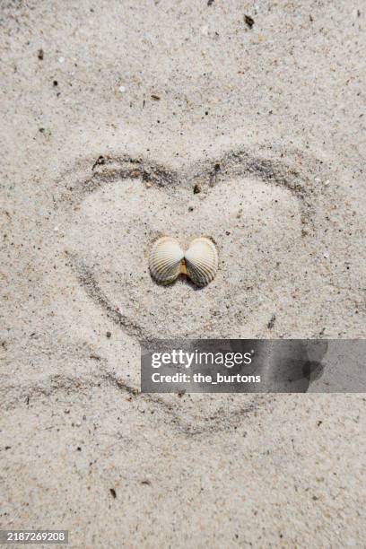 Heart Behind Shell 510 Heart Shaped Shell Stock Photos, High-Res Pictures, and Images ...