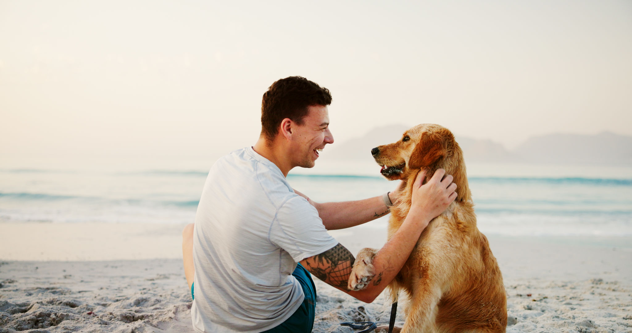 pet summer care