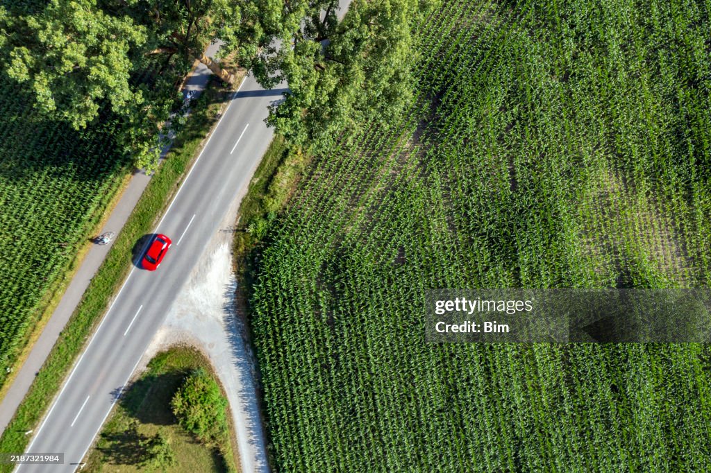 Red car on a treelined road from above