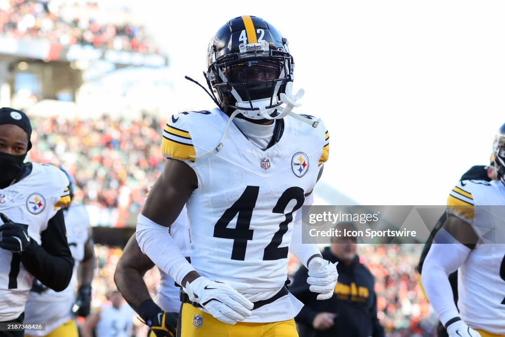 NFL: DEC 01 Steelers at Bengals