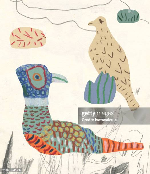 pheasants - pheasant drawing stock illustrations