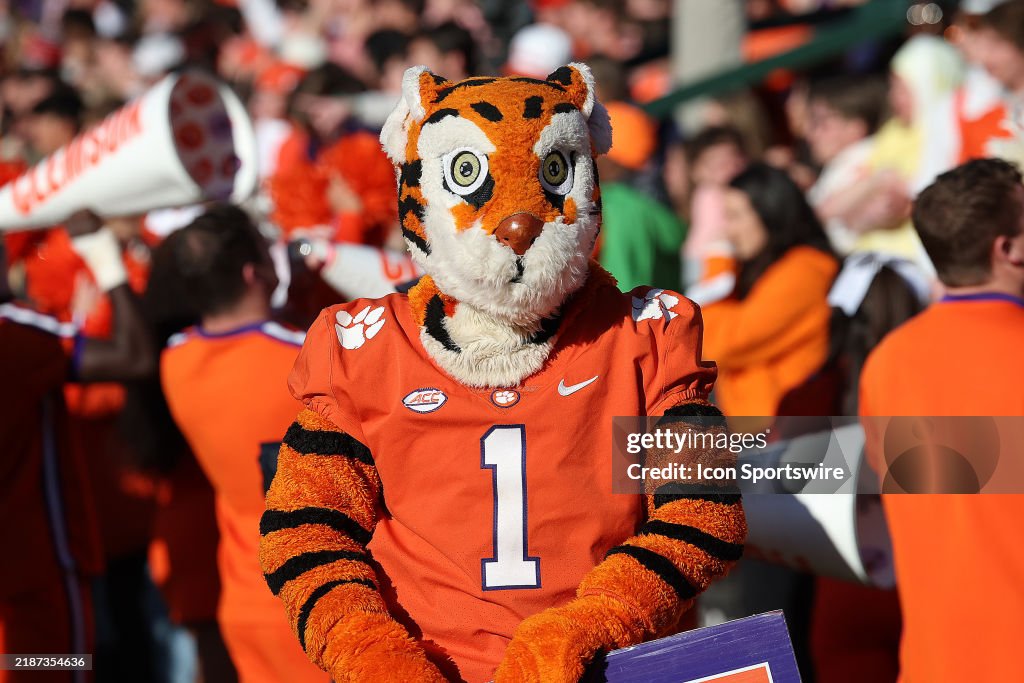 COLLEGE FOOTBALL: NOV 30 South Carolina at Clemson