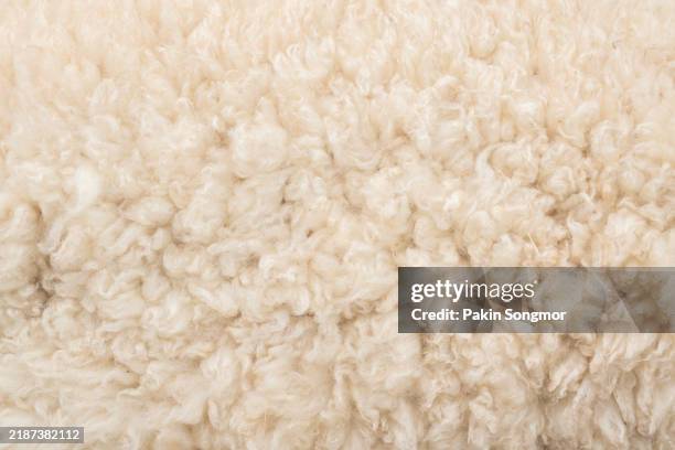 full frame shot of white color sheep wool texture as background. - lana foto e immagini stock