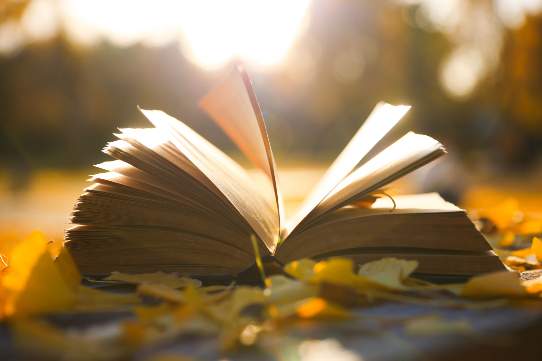 A open book on table A open book on table