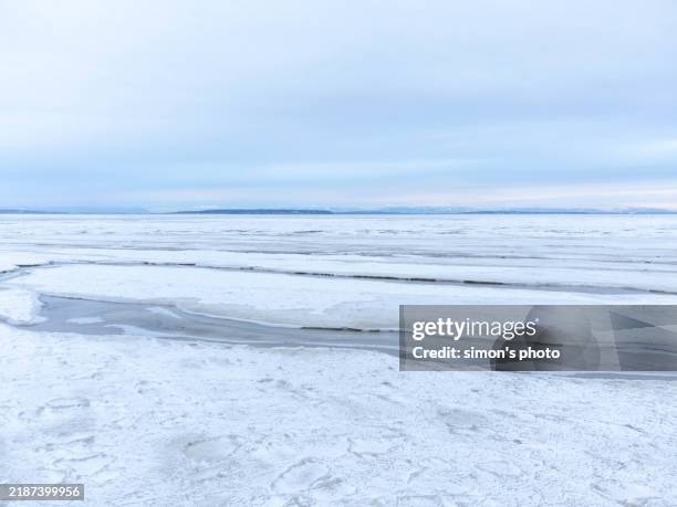freezing cold in pacific west coast - permafrost stock pictures, royalty-free photos & images
